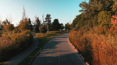 Toronto East Autumn Tree-Lined Road Golden Hour Cinematic Drone 4K Vídeo Stock 335664894