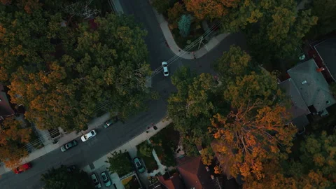 Toronto East End Tree-Lined Residential Streets Autumn Aerial Drone 4K Видео 335650946