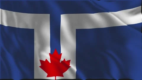 Toronto flag waving slowly Vídeos de archivo 341502658