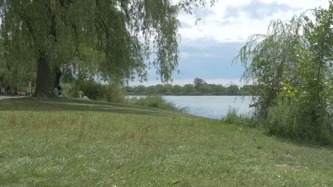 Toronto [High park] 2 Stock Footage 82753915