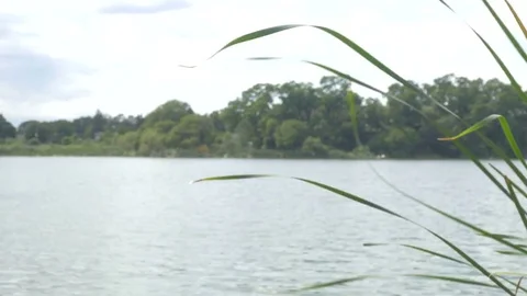 Toronto High park Stock Footage 82761504