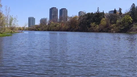 Toronto High Park Pond View Stock Footage 312404172