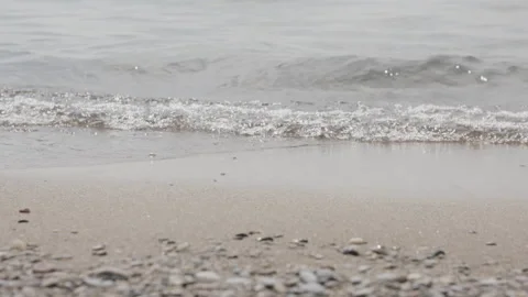 Toronto Island Beach  Stock Footage 231048137