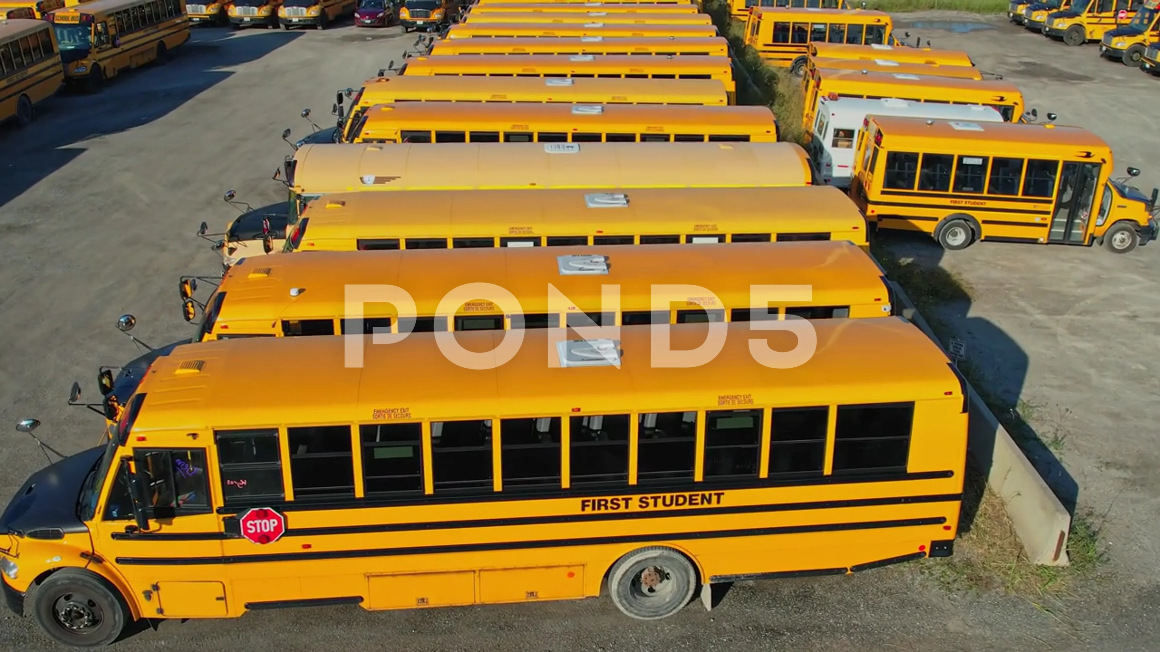 school bus toronto canada