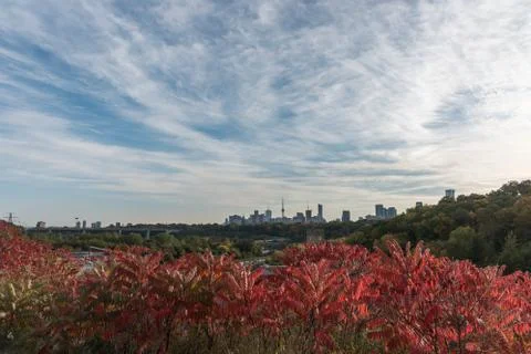Toronto Stock Photos