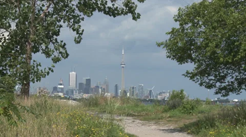 Toronto Skyline 01 Trees Stock Footage 31668653