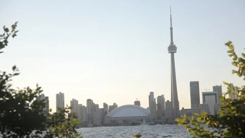 Toronto Skyline with CN Tower Framed by Greenery Vidéo 341033401