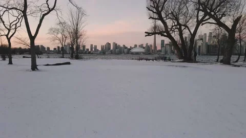 Toronto skyline during winter Stock Footage 172102276
