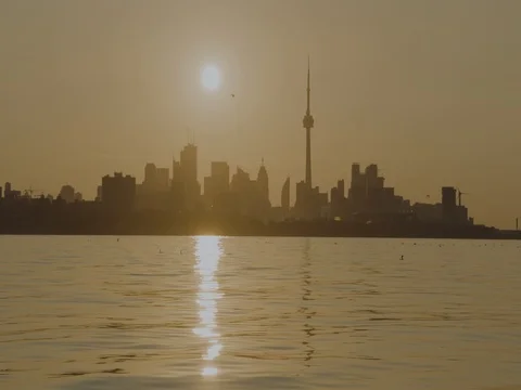 Toronto Skyline Video stock 78232022