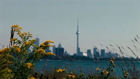 Toronto Skyline Stock Footage 93423004