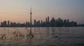 Toronto Skyline Lake Ontario Dusk Time Lapse HD Footage