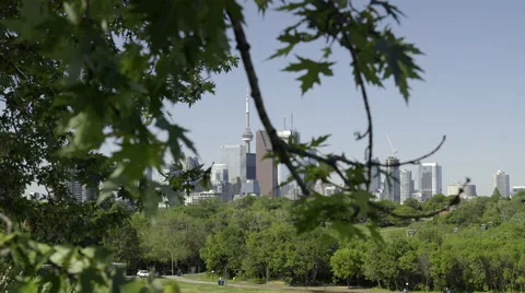 Toronto skyline peeking through the branches. 4K UHD. 스톡 동영상 51146256