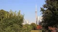 Toronto Skyline Through Park Trees HD Footage