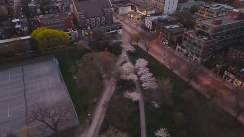 Toronto Sunrise in May Stock Footage 172102096