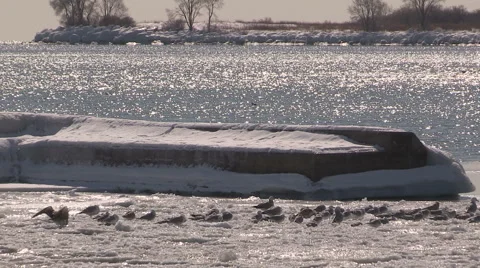 Toronto waterfront covered in ice during record cold winter of 2015 Stock Footage 47389349