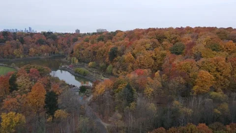 Toronto’s Beautiful Fall: Drone Captures Colorful Trees in Full Glory Stock Footage 289491571