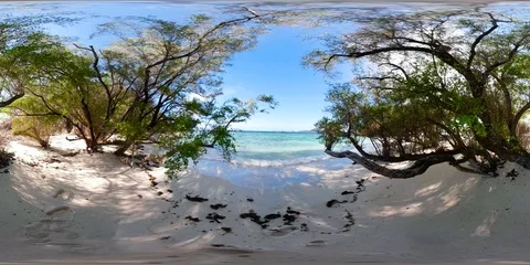 Torpical island with white sandy beach, top view. vr360 Stock Footage 115760006