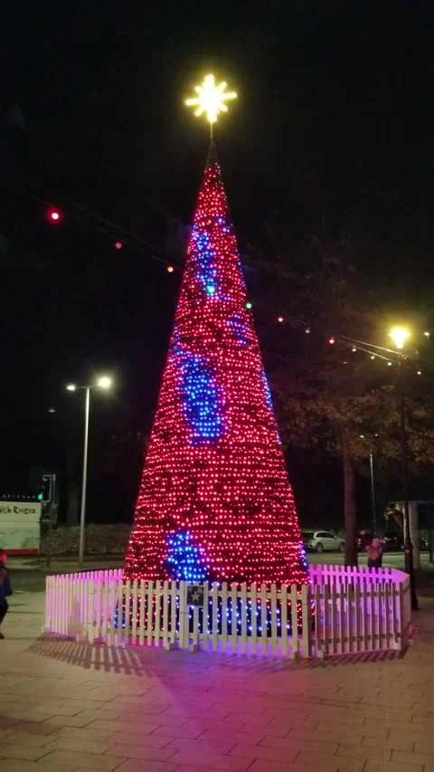 Torquay, Devon: Illuminated Christmas tree on the seafront esplanade Stock Footage 222132436