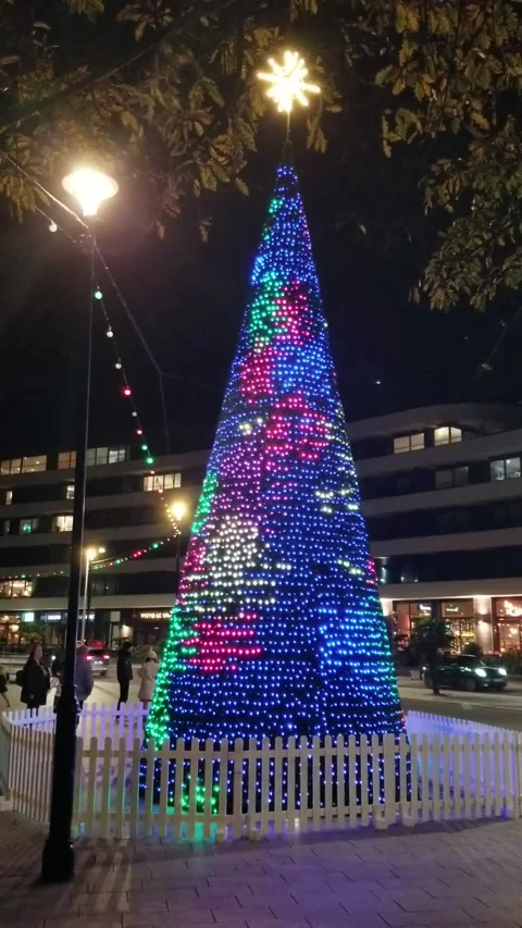 Torquay, Devon: Illuminated Christmas tree on the seafront esplanade Stock Footage 222132438