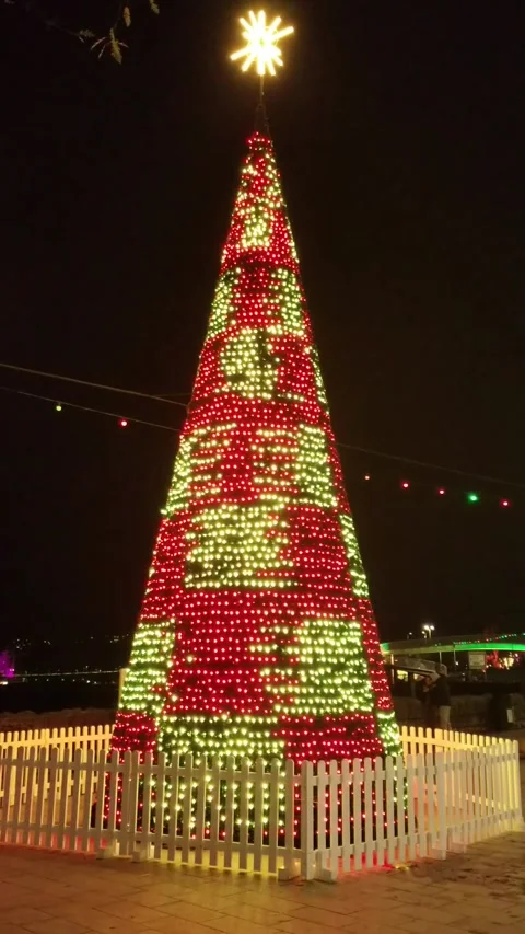 Torquay, Devon: Illuminated Christmas tree on the seafront esplanade Stock Footage 222132440