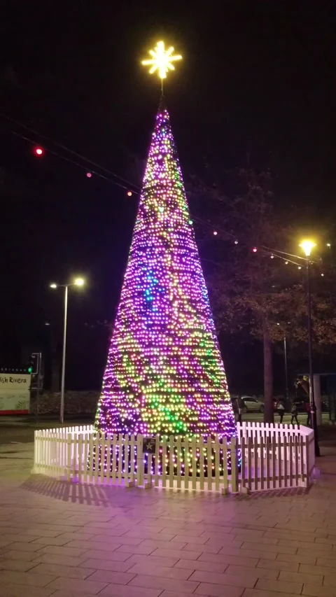 Torquay, Devon: Illuminated Christmas tree on the seafront esplanade Stock Footage 222132441