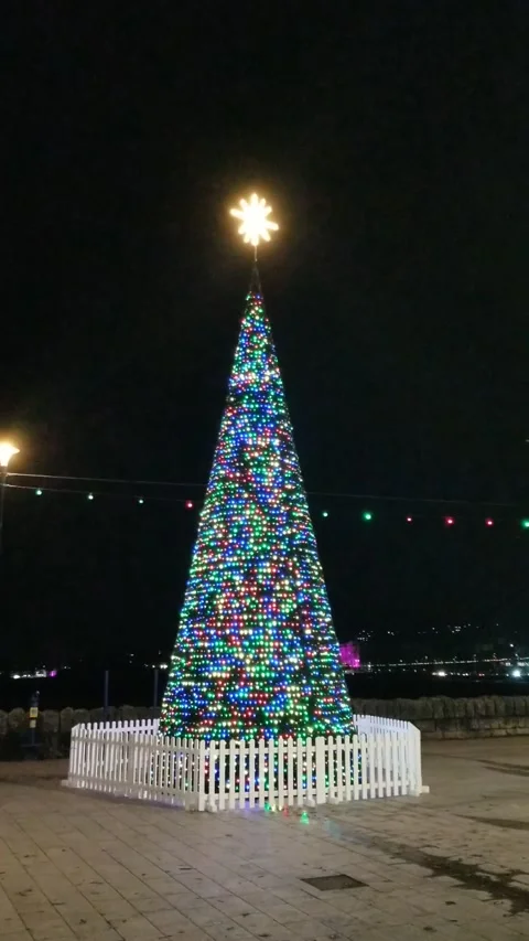 Torquay, Devon: Illuminated Christmas tree on the seafront esplanade Stock Footage 222132705