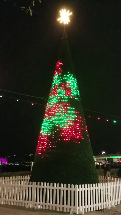 Torquay, Devon: Illuminated Christmas tree on the seafront esplanade Stock Footage 222132715