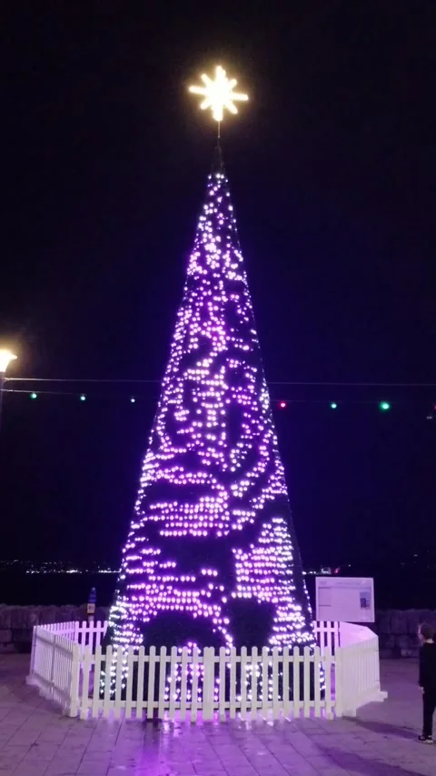 Torquay, Devon: Illuminated Christmas tree on the seafront esplanade Stock Footage 222132740