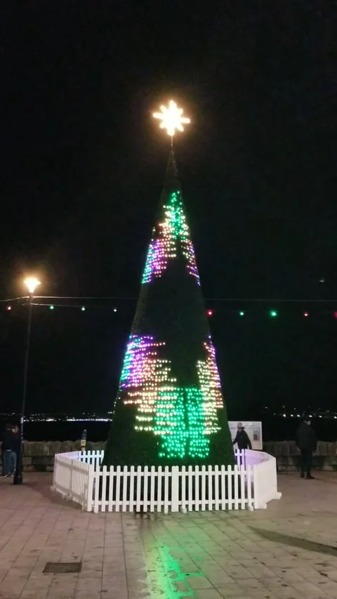 Torquay, Devon: Illuminated Christmas tree on the seafront esplanade Stock Footage 222132749