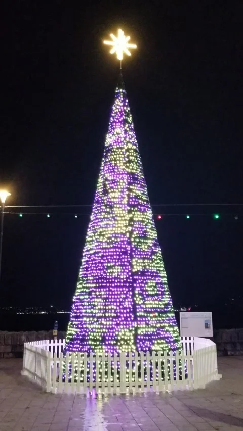 Torquay, Devon: Illuminated Christmas tree on the seafront esplanade Stock Footage 222132759