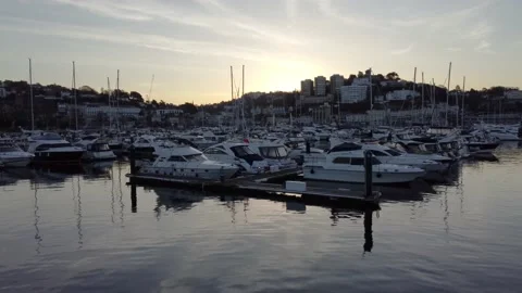Torquay Harbour (10) Stock Footage 152817288