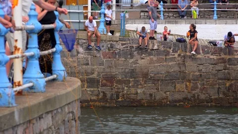 Torquay harbour seaside resort in Devon south England UK 4K Stock Footage 114660231