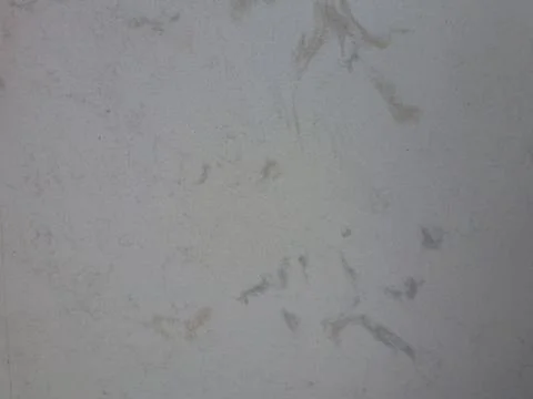 Torquay Marble Surface Stock Photos