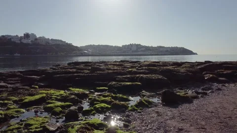 Torquay Seafront - Low angle with Seagulls Stock Footage 155101425