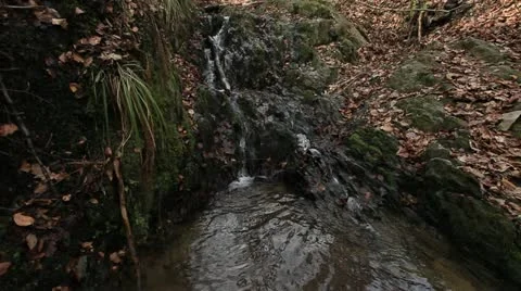 Torrent 10 库存影片 20521547