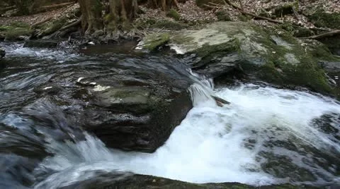 Torrent 23 库存影片 20521014