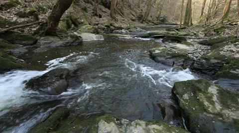 Torrent 24 動画素材 20521199