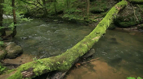 Torrent 31 動画素材 26227857