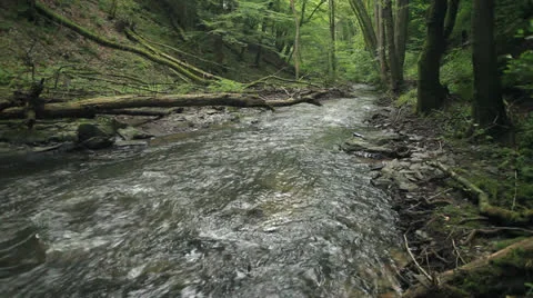 Torrent 32 库存影片 26227291