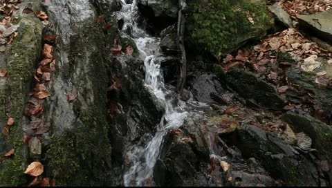 Torrent 6 库存影片 11271976