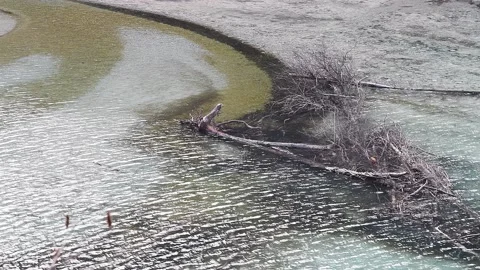 Torrent Of Crystal Video stock 149249065