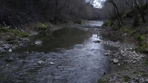 The torrent Dordo Video stock 153278128