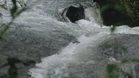 Torrent flowing between rocks Stock Footage 295807231