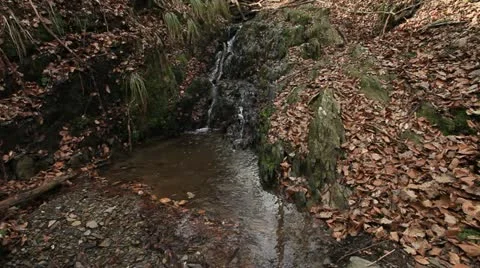 Torrent 库存影片 22261090