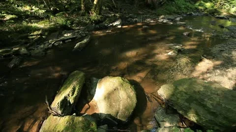 Torrent 库存影片 22261216