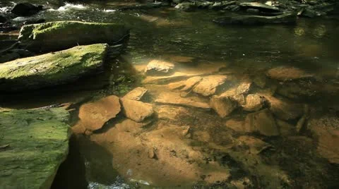 Torrent 库存影片 22261345