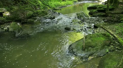 Torrent 库存影片 22261522