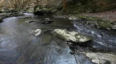 Torrent 库存影片 22261629