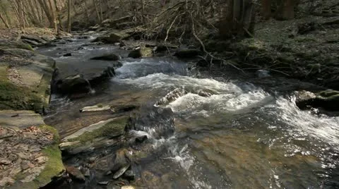 Torrent 库存影片 22261646