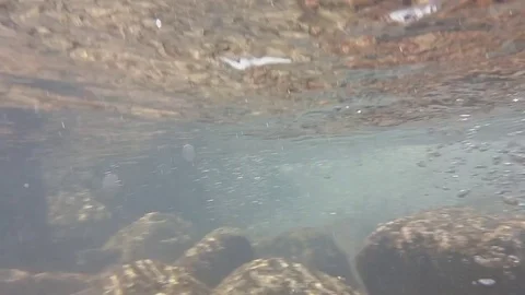 Torrent mountain river Stock Footage 79675539